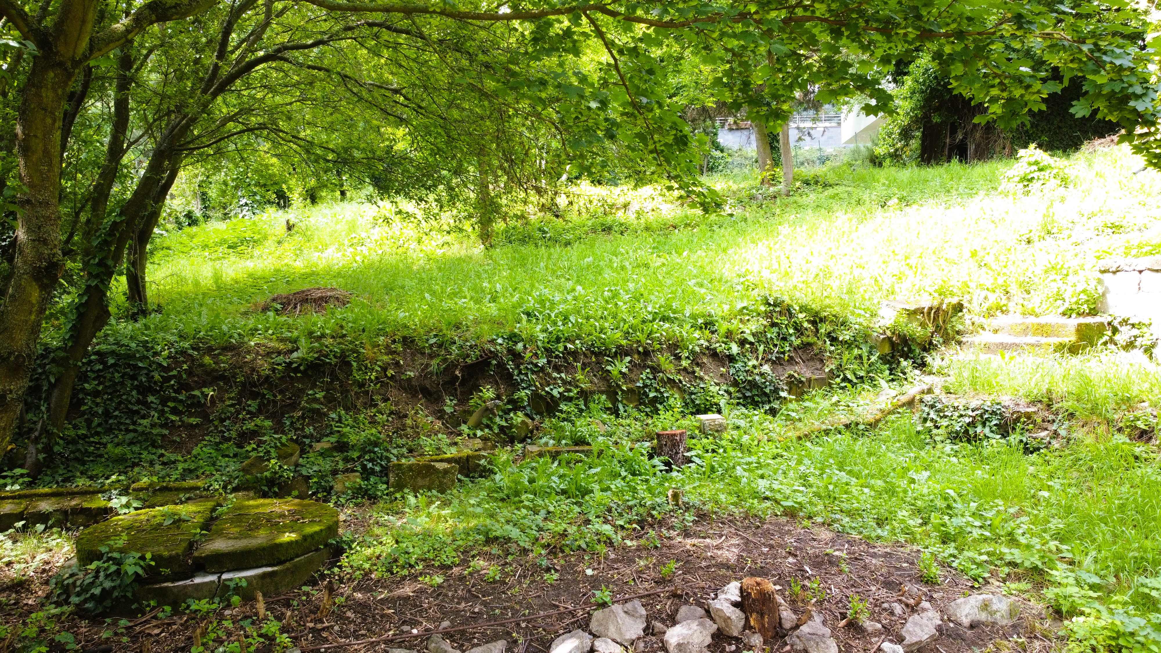 Stavebná parcela na Kolibe - Jeséniova, Bratislava